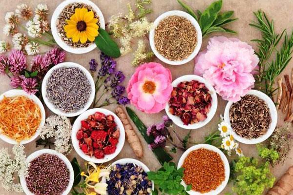تدوین سند گیاهان دارویی شناخت عمومی از این صنعت را توسعه تدوین سند گیاهان دارویی شناخت عمومی از این صنعت را توسعه می دهد