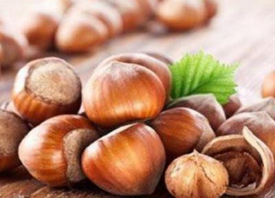 سیستم ایمنی بدنتان را با فندق تقویت کنید