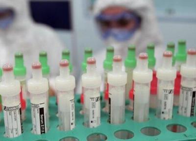 تولید کیت کرونا با کاهش امکان نتیجه گیری منفی کاذب