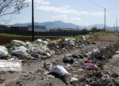 خبرنگاران مسائل محیط زیستی تهران با جزیره ای عمل کردن حل نمی شود