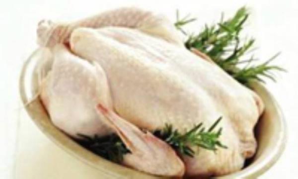 در ستایش گوشت مرغ