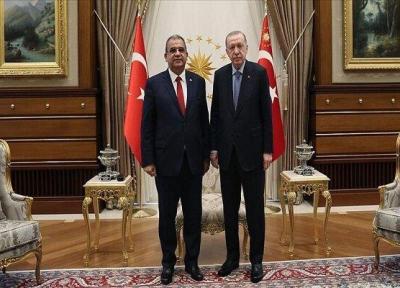 ملاقات اردوغان و نخست وزیر جمهوری قبرس شمالی