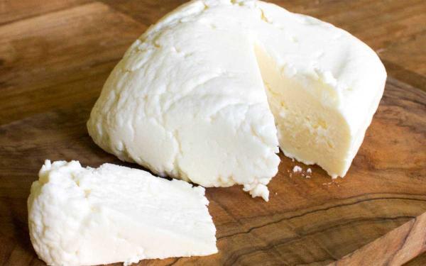 طرز تهیه پنیر خانگی طرز تهیه پنیر خانگی