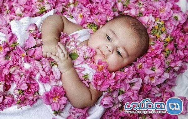 نگاهی به دو آیین تیغ داغ و گل غلتان نگاهی به دو آیین تیغ داغ و گل غلتان