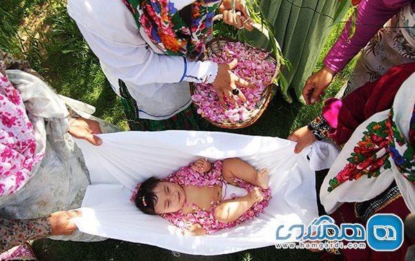 آیین گل غلتان نوزادان در دامغان ، تطهیر نوزاد در برگ های آیین گل غلتان نوزادان در دامغان ، تطهیر نوزاد در برگ های گل محمدی