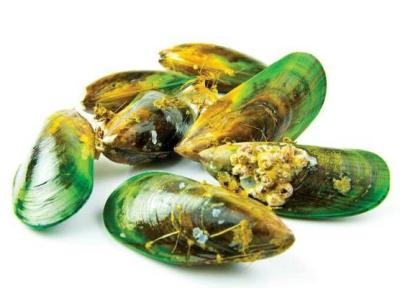 صدف لبه سبز؛ شاهکار طبیعت برای درمان آرتروز و آسم