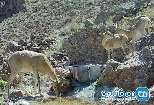 منطقه شکار ممنوع کاوه ده یکی از دیدنی های استان تهران به شمار می رود