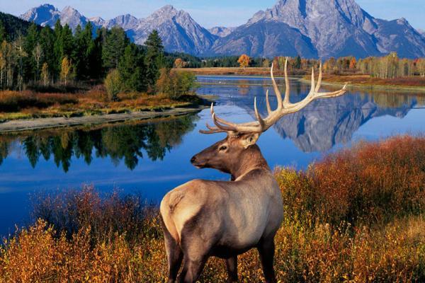 زیباترین پارک های ملی اروپا؛ از پارک ملی دورمیتور تا دریاچه های پلیتویک (قسمت دوم)